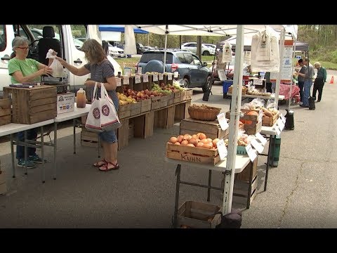 download lagu mp3 mp4 Farmers Market Fairfax Va Sunday, download lagu Farmers Market Fairfax Va Sunday gratis, unduh video klip Farmers Market Fairfax Va Sunday