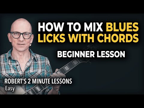 How to mix blues licks with chords (beginner lesson) - Robert's 2 Minute Lessons (28)