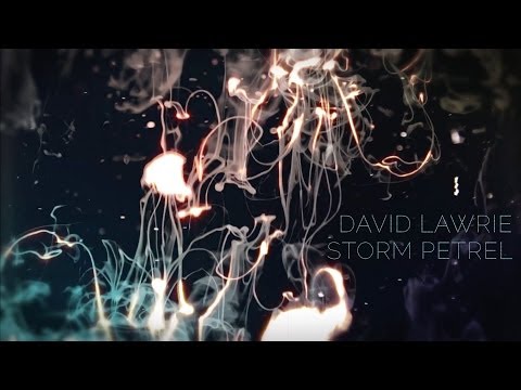 David Lawrie - Storm Petrel