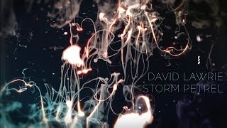 David Lawrie - Storm Petrel