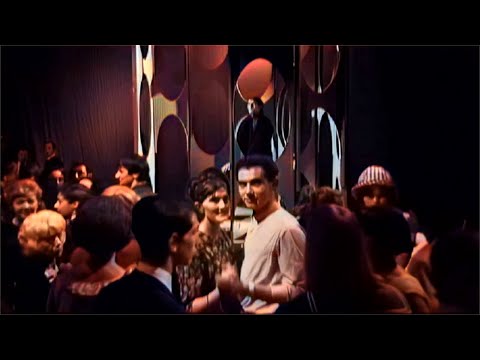 Everyone's Gone to the Moon