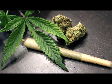 G13- Paja Song (reup)