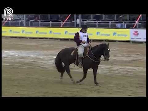 Aberta de Esteio (RS) – 8° lugar machos – Jalisco da Capão Formoso (Prova: Bayard/Sarmento)