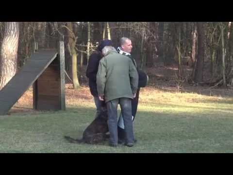 Compilation  HH Raff  Follow, Jump, Revier , Stick and Bicycle Attack SOLD!!!