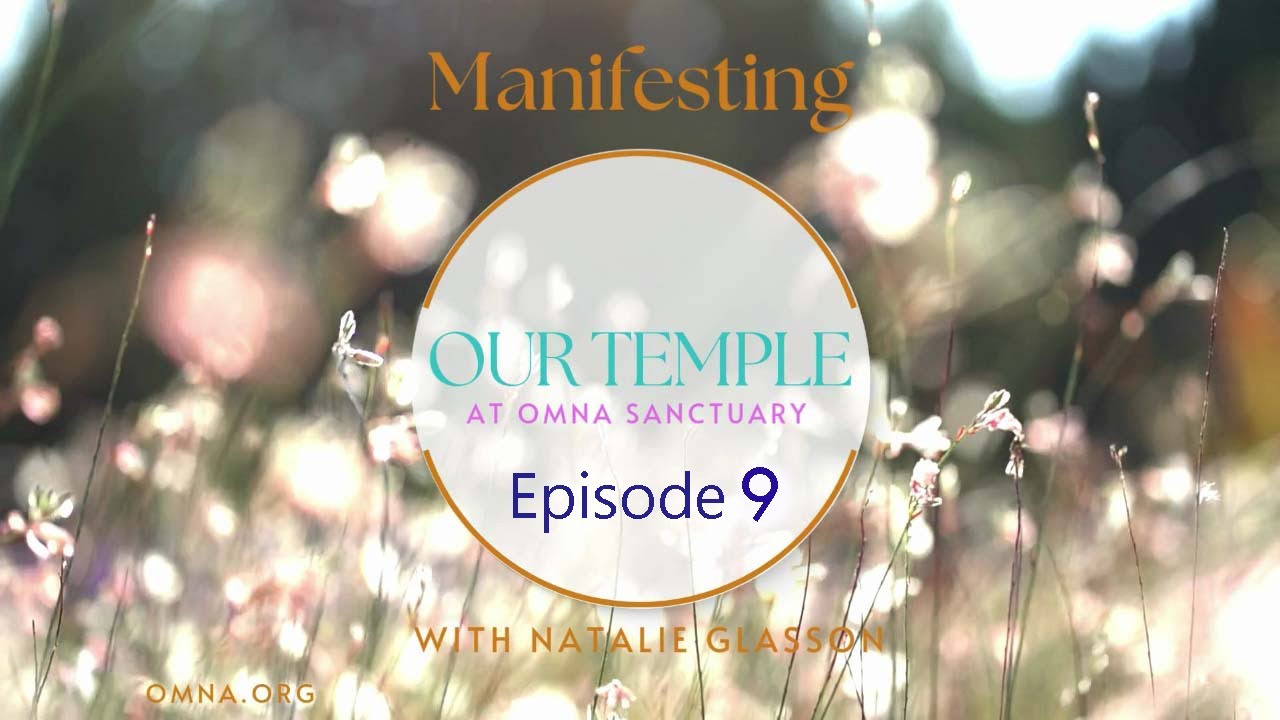 Episode 9.  Manifesting Our Temple: Are We Doing the Right Thing?