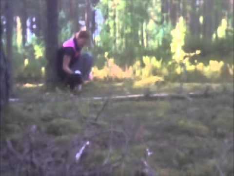 Jaken eka hakutreeni