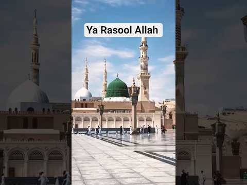 nabiyon main sabse afzal #qwwali #newqawwali #nabi #madina #shorts #short #shortsfeed