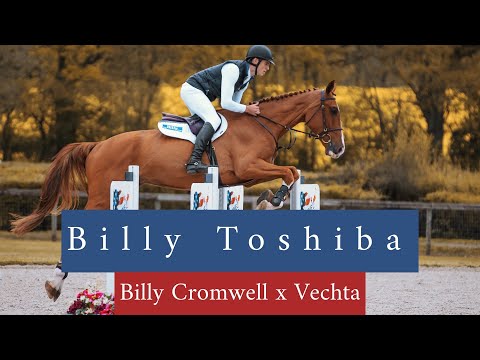 Billy Toshiba