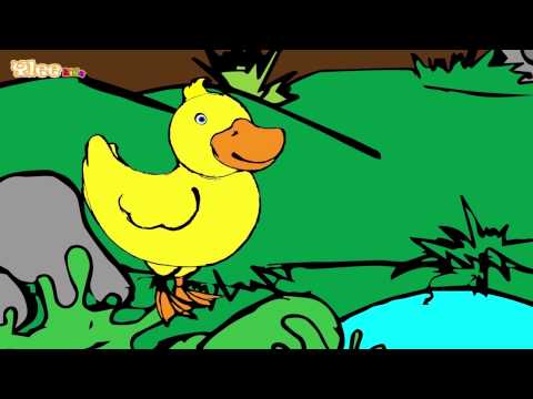 Fünf kleine Ente - Pet majhnih račk  - Zweisprachiges Kinderlied - Yleekids