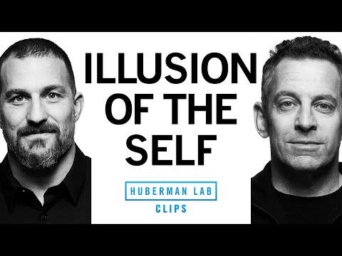 Meditation & Searching for The Self | Dr. Sam Harris & Dr. Andrew Huberman