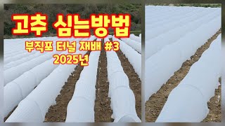 고추심기 3탄 괴산청결고추 부직포 터널 재배 마무리 문제점 충북 괴산 풀뿌리농장 (고추재배방법)