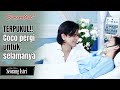 TERPUKUL Coco Pergi Untuk Selama Meninggalkan Fajar BUKU HARIAN SEORANG ISTRI 17 Mei 22