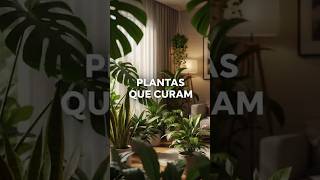 Plantas que Curam 🌿 | Bem-estar, Relaxamento e Harmonia em Casa #PlantasEmCasa #BemEstar