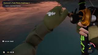 The Angler How To Catch Gold Rank Burbot Diamond Peaks Photo Challenge 3