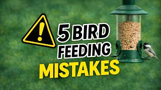 Top 5 Bird Feeding Mistakes (And How to Fix Them!)