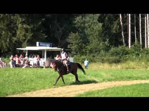 Ilian Iliev - Solaris - CCI1 Feldbach 2014