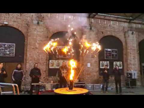 Stachelschwein in Slowmotion