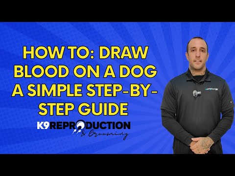 How to Draw Blood on a Dog: Simple Step-by-Step Guide