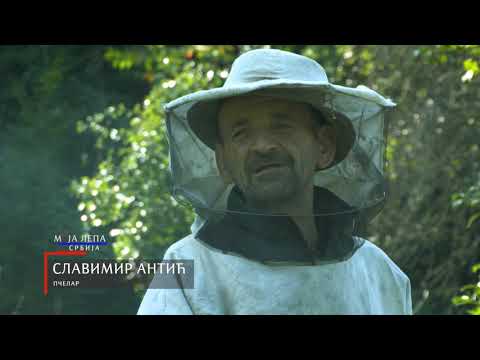 Moja lepa Srbija, Mali zeleni raj - Lukovska banja