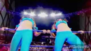 WWE &quot;The Bella Twins&quot; - You Can Look But You Can&#39;t Touch