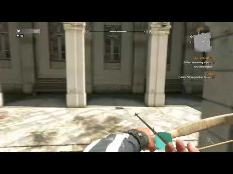 Dying Light - Gun Fight