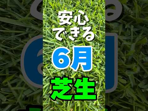 芝生のマルチングとは何ですか？ 3つのポイントで解読！  庭園