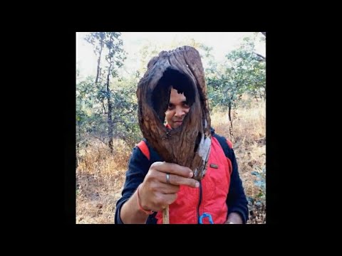 Highest peak of Vindhya range #vindhyanchal