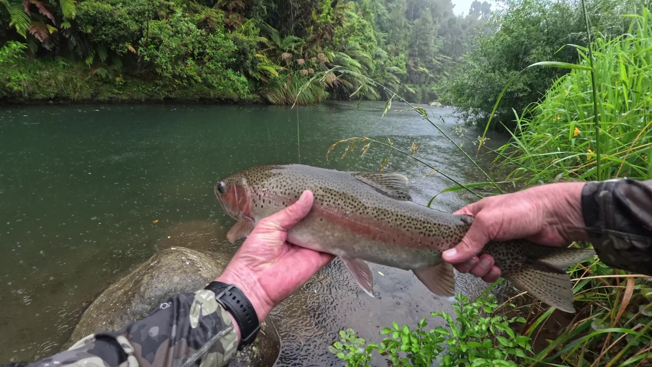 A Nice Rainbow to Finish a Wet Day