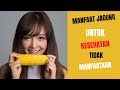 Kegunaan Dan Manfaat Jagung 