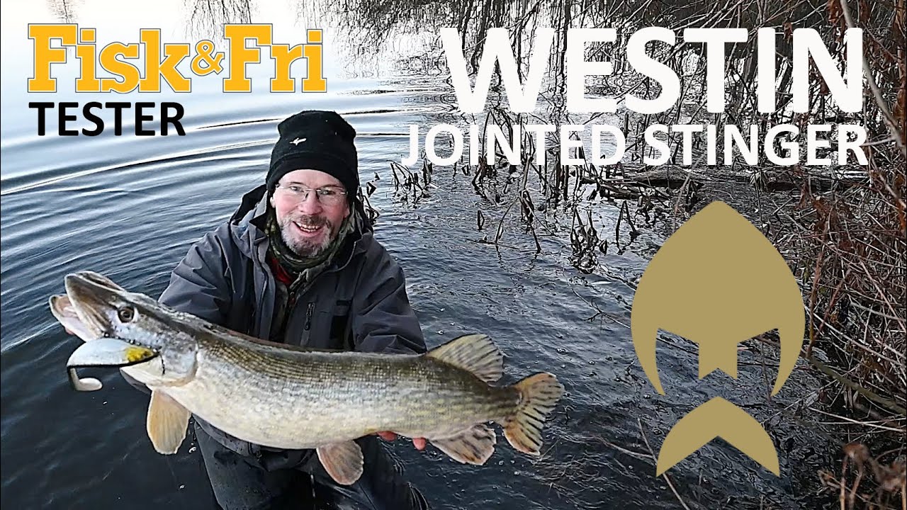 NY VIDEO: FISK & FRI TESTER WESTIN JOINTED STINGER