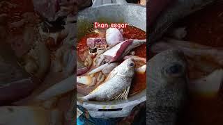 Download lagu masak ikan segar hasil mancing #mancing #fishing #laut #2023 #masak mp3