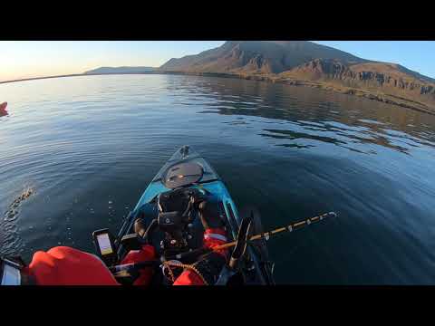 Ýsu veiðar ì kollafirđi