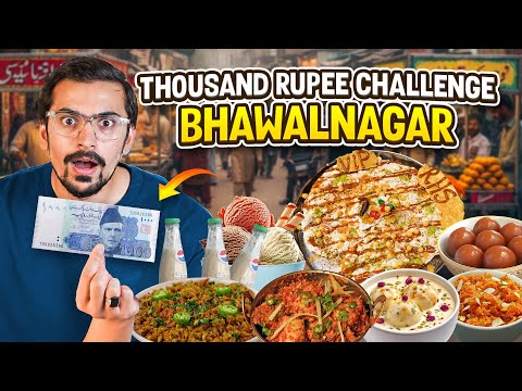 INSANE 1,000 Rupees Street Food Challenge in Pakistan - 2025 ft. Bahawalnagar