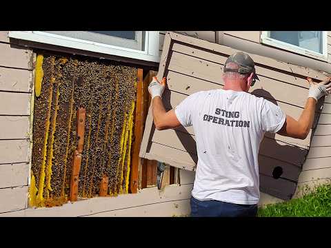 No Bee Suit… What Could Go Wrong?!