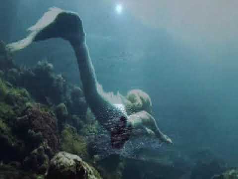 ENTRE LA ARENA Y LA LUNA