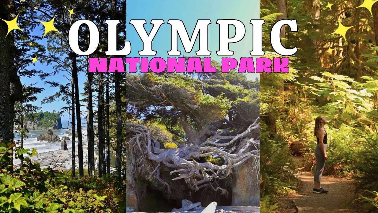Epic Olympic National Park Guide | Ruby Beach, Rialto & Hurricane Ridge