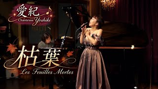 プロローグ〜枯葉-Les feuilles mortes 愛紀(よしき)