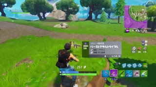 [FORTNITE]　ラッパーがいく　［PS4］