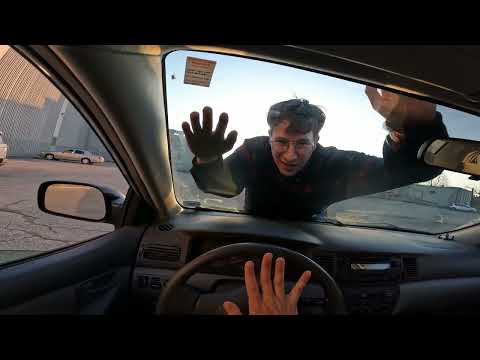 Little Junior - Glue