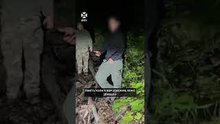 Медведица остановила киевлянина, который шел в Румынию: пограничники снимали его с дерева (видео)