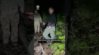 Медведица остановила киевлянина, который шел в Румынию: пограничники снимали его с дерева (видео)