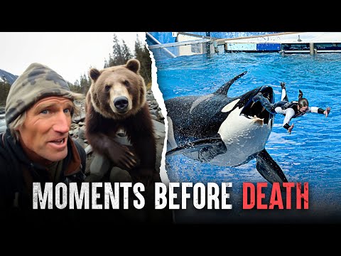 They Didn't Survive: Unbelievable Stories of Fatal Encounters