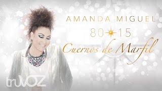 Cuernos De Marfil Lyrics English Translation