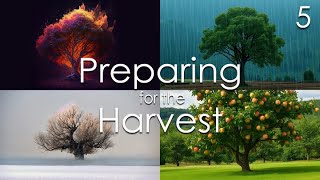 Preparing for the Harvest - 5