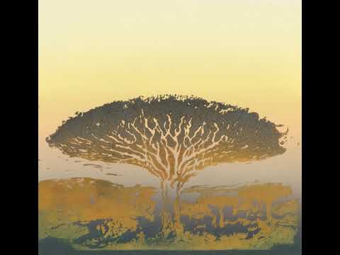 MNMT Premiere: Milena Glowacka – Illusion