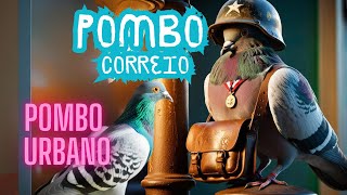 Pombos Urbanos vs. Pombos Domésticos: Diferenças e Curiosidades