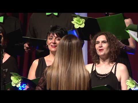 HORSKI FESTIVAL "SLOBODAN BURSAĆ" 2018. godina 06 HOR   RASPEVANI PROFESORI  VRŠAC  PRVO VEČE