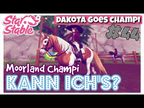 Star Stable [SSO]: Mein BESTES Champi seit LANGEM? 🤔 DAKOTA GOES CHAMPI #44 [DEUTSCH]