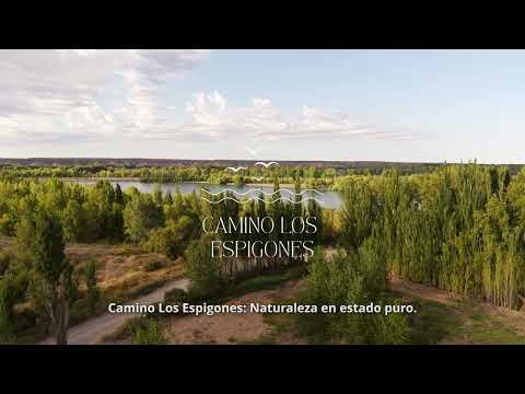 Camino Los Espigones 4k. Plottier, Neuquén, Argentina.