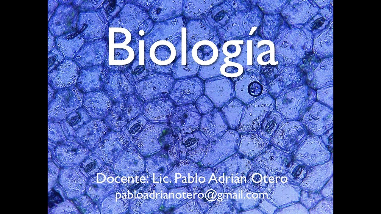 Introduccion al metabolismo